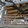 CASE SUGLI ALBERI - TREEHOUSES 