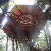 CASA SULL'ALBERO - TREEHOUSE 