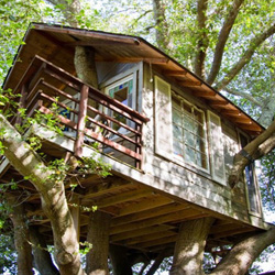 TREEHOUSE